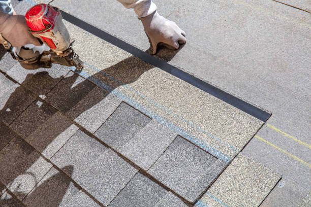 Best Roof Maintenance Services  in Willard, OH